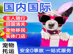 营口空运国际宠物托运 【国